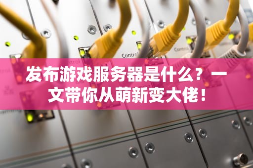 发布游戏服务器是什么？一文带你从萌新变大佬！