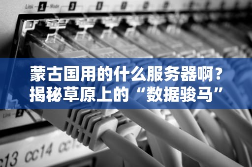 蒙古国用的什么服务器啊？揭秘草原上的“数据骏马”有多野！