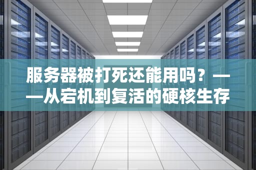 服务器被打死还能用吗？——从宕机到复活的硬核生存指南