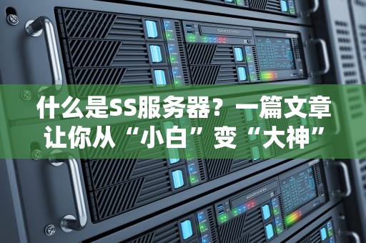 什么是SS服务器？一篇文章让你从“小白”变“大神”！