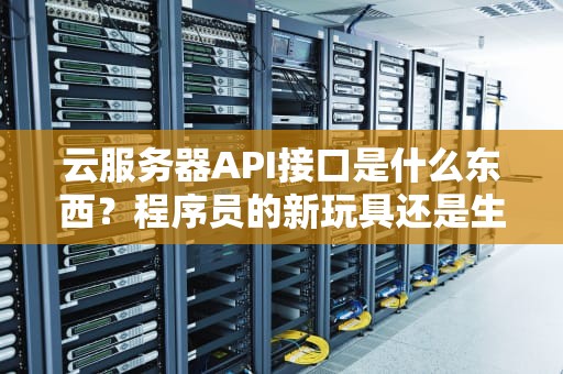 云服务器API接口是什么东西？程序员的新玩具还是生产力神器？