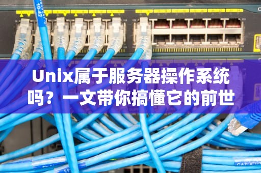 Unix属于服务器操作系统吗？一文带你搞懂它的前世今生与硬核实力！