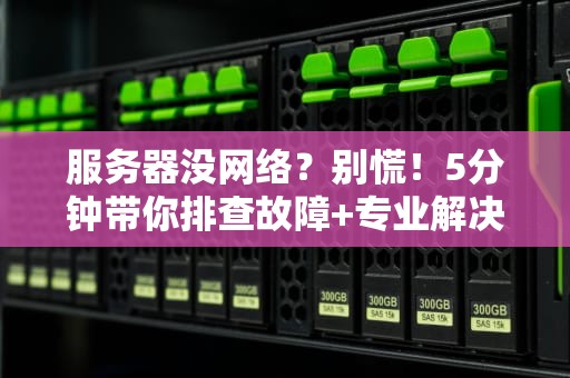服务器没网络？别慌！5分钟带你排查故障+专业解决方案