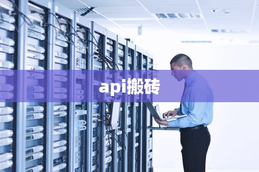 api搬砖