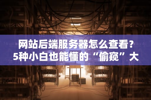 网站后端服务器怎么查看？5种小白也能懂的“偷窥”大法！