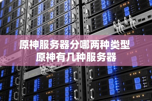 原神服务器分哪两种类型 原神有几种服务器
