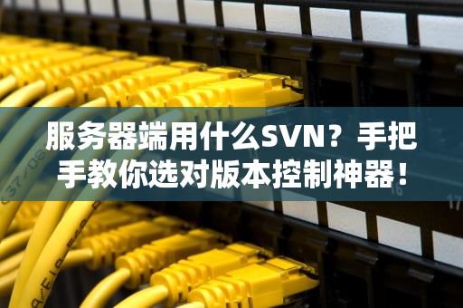 服务器端用什么SVN？手把手教你选对版本控制神器！