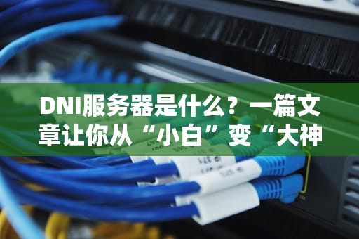 DNI服务器是什么？一篇文章让你从“小白”变“大神”！（附超实用测评）