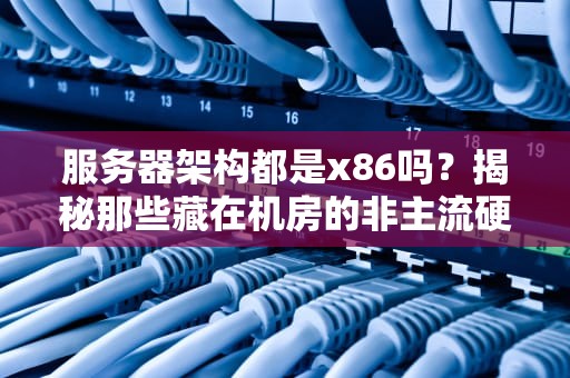 服务器架构都是x86吗？揭秘那些藏在机房的非主流硬核玩家！
