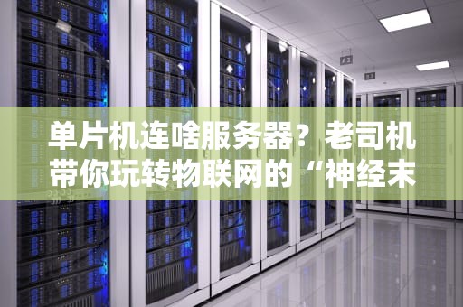 单片机连啥服务器？老司机带你玩转物联网的“神经末梢”