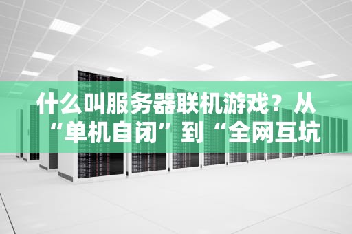 什么叫服务器联机游戏？从“单机自闭”到“全网互坑”的快乐进化论！