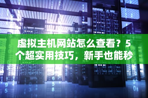 虚拟主机网站怎么查看？5个超实用技巧，新手也能秒变老司机！