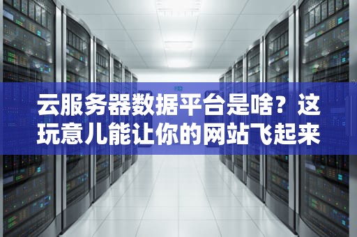 云服务器数据平台是啥？这玩意儿能让你的网站飞起来吗？