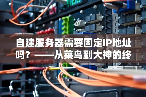 自建服务器需要固定IP地址吗？——从菜鸟到大神的终极解答