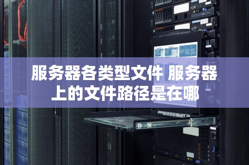 服务器各类型文件 服务器上的文件路径是在哪