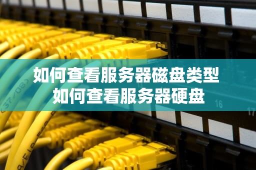 如何查看服务器磁盘类型 如何查看服务器硬盘
