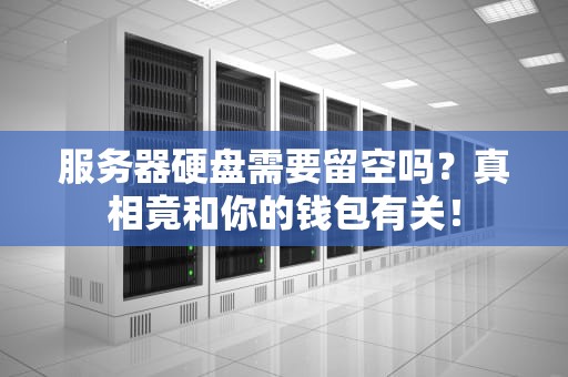 服务器硬盘需要留空吗？真相竟和你的钱包有关！