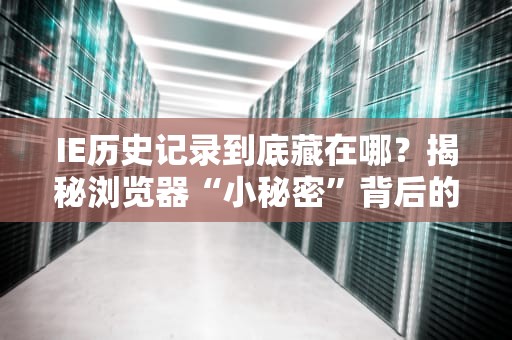 IE历史记录到底藏在哪？揭秘浏览器“小秘密”背后的服务器真相！
