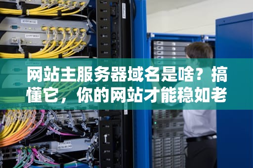 网站主服务器域名是啥？搞懂它，你的网站才能稳如老狗！