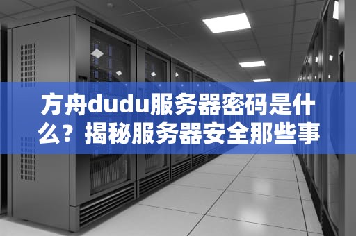 方舟dudu服务器密码是什么？揭秘服务器安全那些事儿（附专业测评）