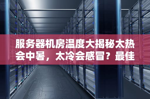 服务器机房温度大揭秘太热会中暑，太冷会感冒？最佳温度指南来了！
