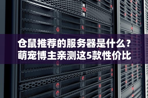 仓鼠推荐的服务器是什么？萌宠博主亲测这5款性价比炸裂！