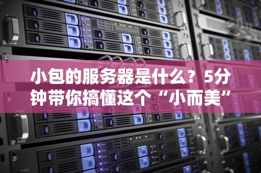 小包的服务器是什么？5分钟带你搞懂这个“小而美”的科技神器！