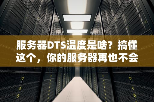 服务器DTS温度是啥？搞懂这个，你的服务器再也不会“发烧”啦！