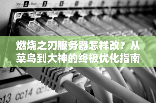 燃烧之刃服务器怎样改？从菜鸟到大神的终极优化指南！