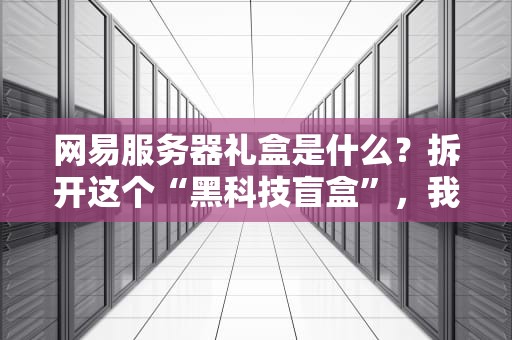 网易服务器礼盒是什么？拆开这个“黑科技盲盒”，我惊呆了！