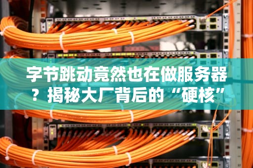 字节跳动竟然也在做服务器？揭秘大厂背后的“硬核”算力布局