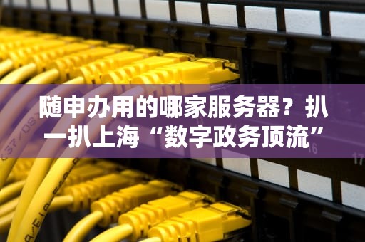 随申办用的哪家服务器？扒一扒上海“数字政务顶流”的幕后技术大佬！