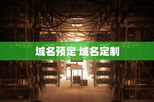域名预定 域名定制
