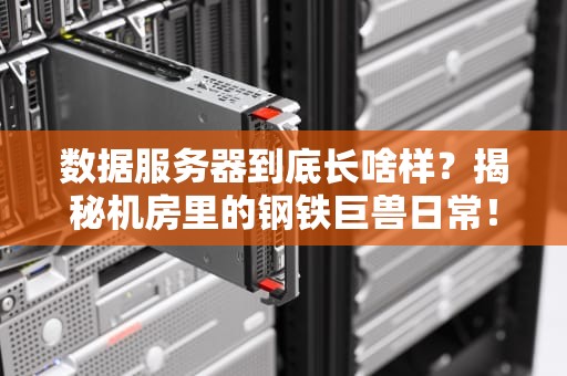 数据服务器到底长啥样？揭秘机房里的钢铁巨兽日常！