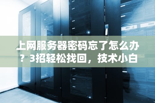 上网服务器密码忘了怎么办？3招轻松找回，技术小白也能秒懂！