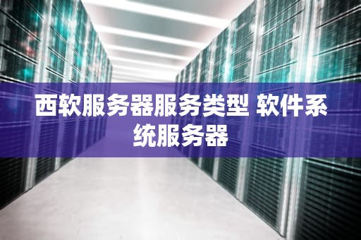 西软服务器服务类型 软件系统服务器