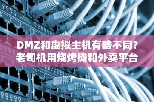 DMZ和虚拟主机有啥不同？老司机用烧烤摊和外卖平台给你讲明白！