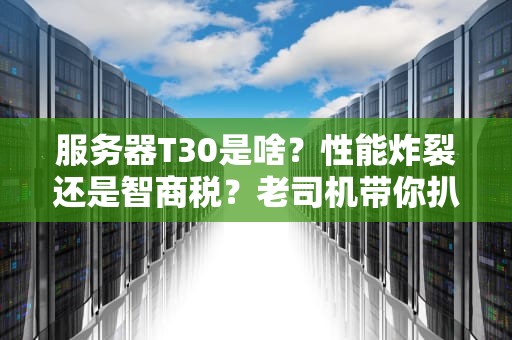 服务器T30是啥？性能炸裂还是智商税？老司机带你扒光它的底裤！