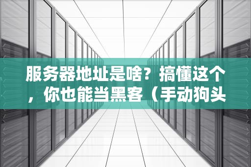 服务器地址是啥？搞懂这个，你也能当黑客（手动狗头）