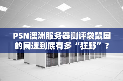 PSN澳洲服务器测评袋鼠国的网速到底有多“狂野”？