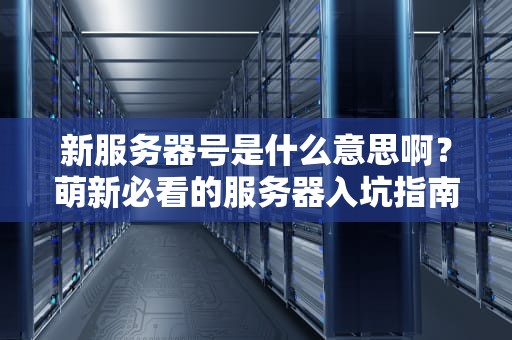新服务器号是什么意思啊？萌新必看的服务器入坑指南！