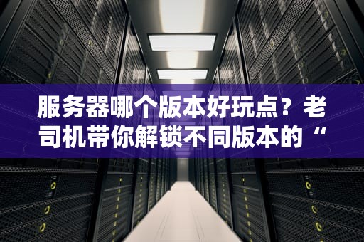 服务器哪个版本好玩点？老司机带你解锁不同版本的“隐藏玩法”！