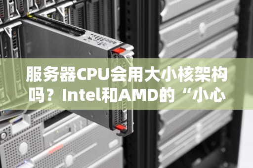 服务器CPU会用大小核架构吗？Intel和AMD的“小心机”被我们扒光了！