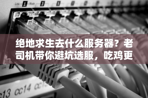 绝地求生去什么服务器？老司机带你避坑选服，吃鸡更畅快！