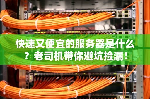 快速又便宜的服务器是什么？老司机带你避坑捡漏！