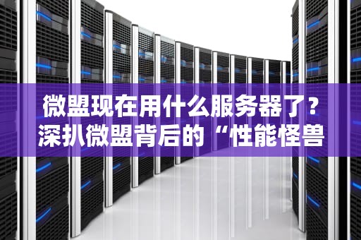 微盟现在用什么服务器了？深扒微盟背后的“性能怪兽”与“省钱骚操作”