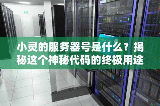 小灵的服务器号是什么？揭秘这个神秘代码的终极用途！