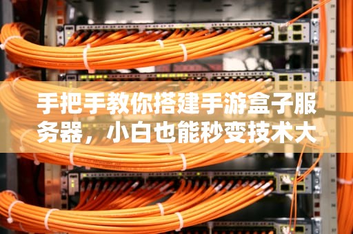 手把手教你搭建手游盒子服务器，小白也能秒变技术大佬！