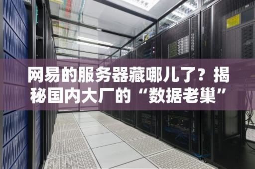 网易的服务器藏哪儿了？揭秘国内大厂的“数据老巢”选址玄学！