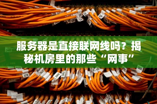 服务器是直接联网线吗？揭秘机房里的那些“网事”